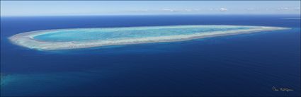 Lamont Reef - QLD (PBH4 00 18423)